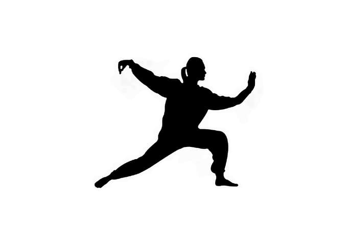 shaolin pose
