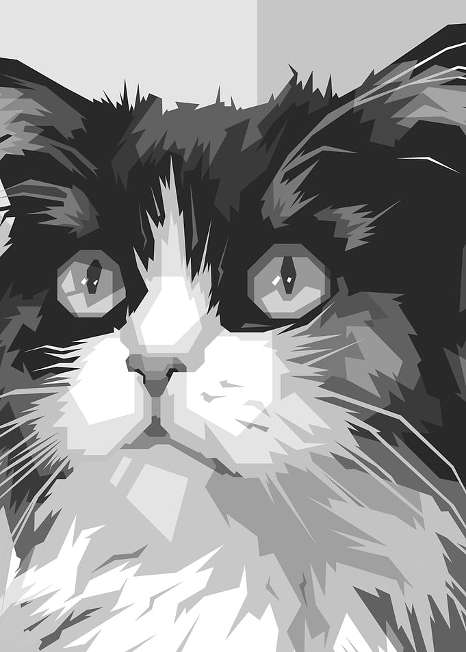 Cute Face Cat Gray Color