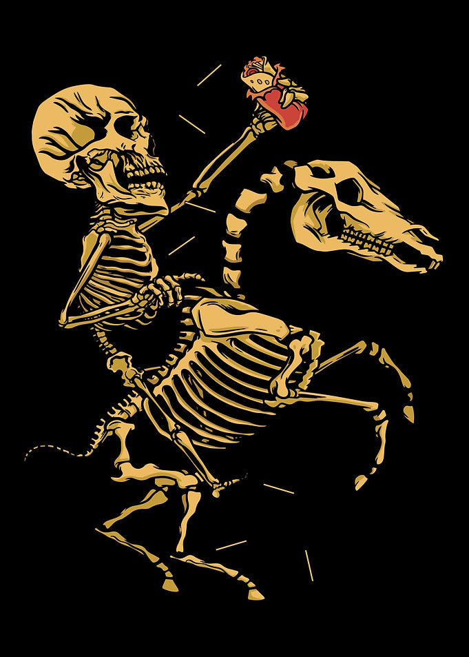riding horse skeleton frie