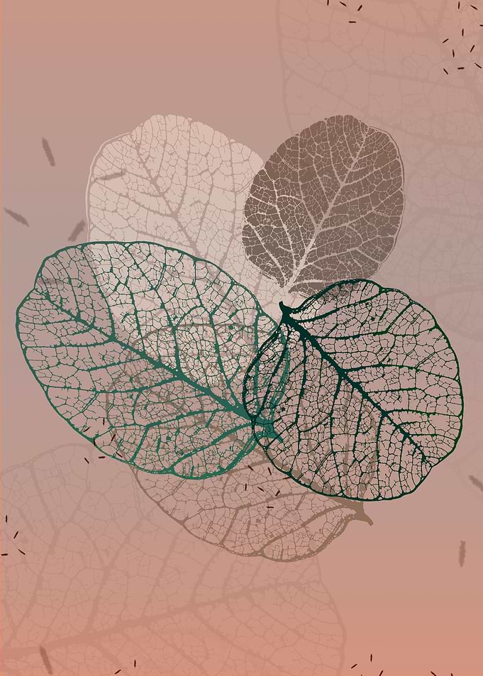 Veins of Leaf Ribs