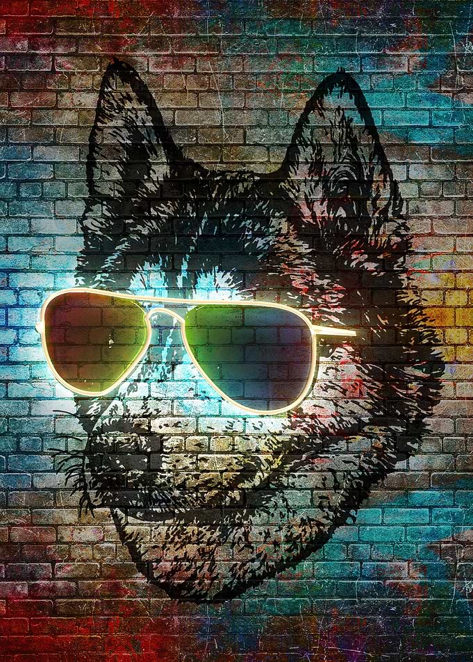 Wolf with colored eyeglass