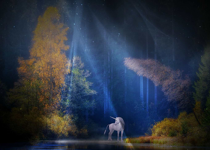 Mystic Animal Pictures
