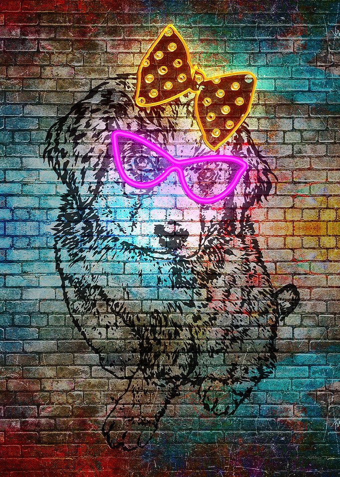 Cute dog with glasses