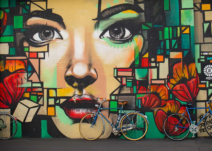 Face of Girl Wall Mural