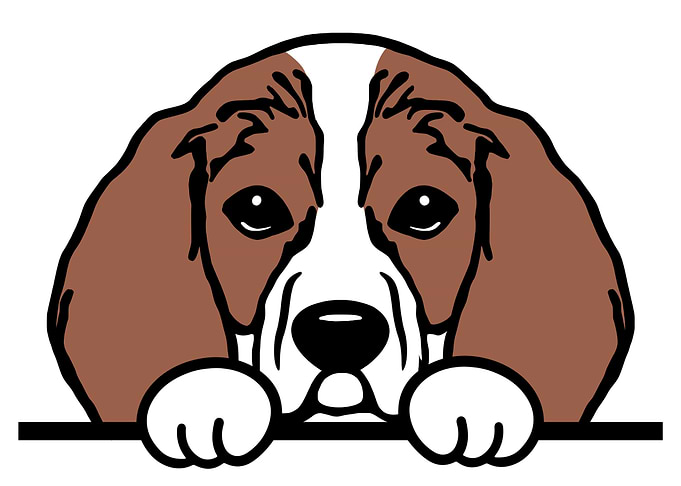 Cute Beagle Dog