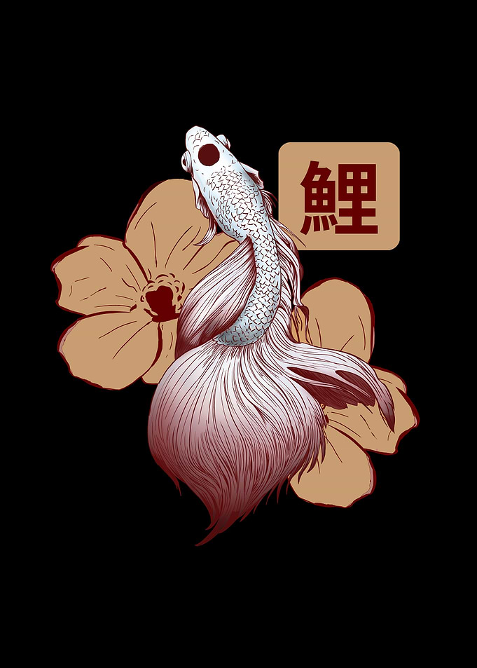 Japanese Koi Fish