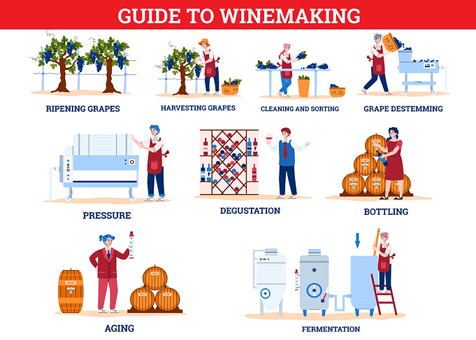 Winemaking Guide