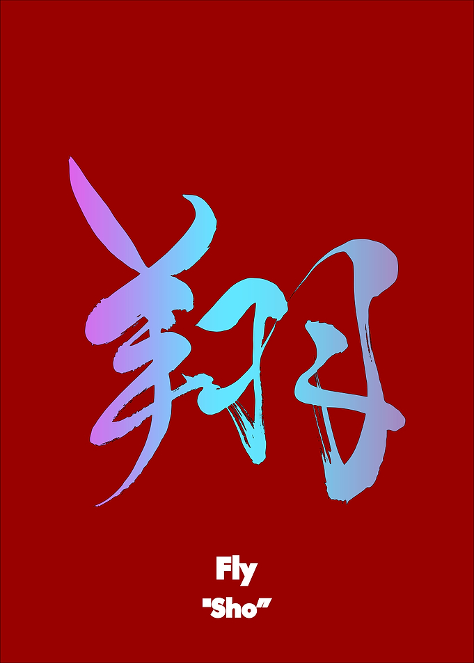 Fly