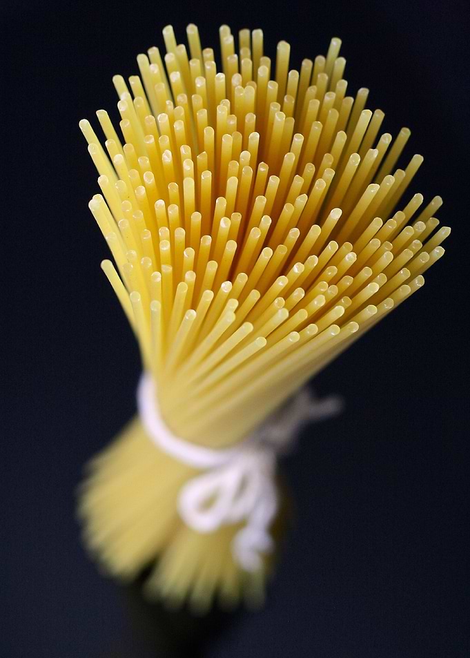 spaghetti bundle