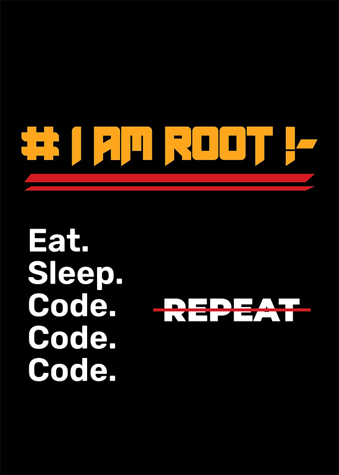 Programmer