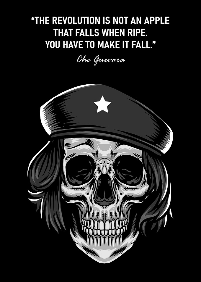 Che Revolution Quotes