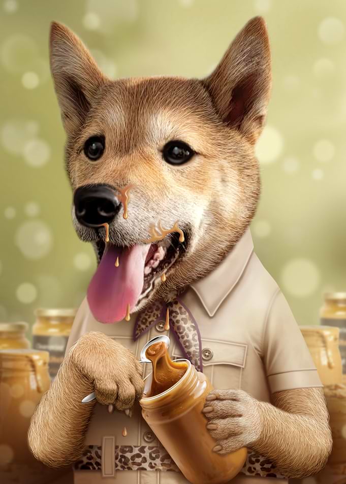 adventures remy