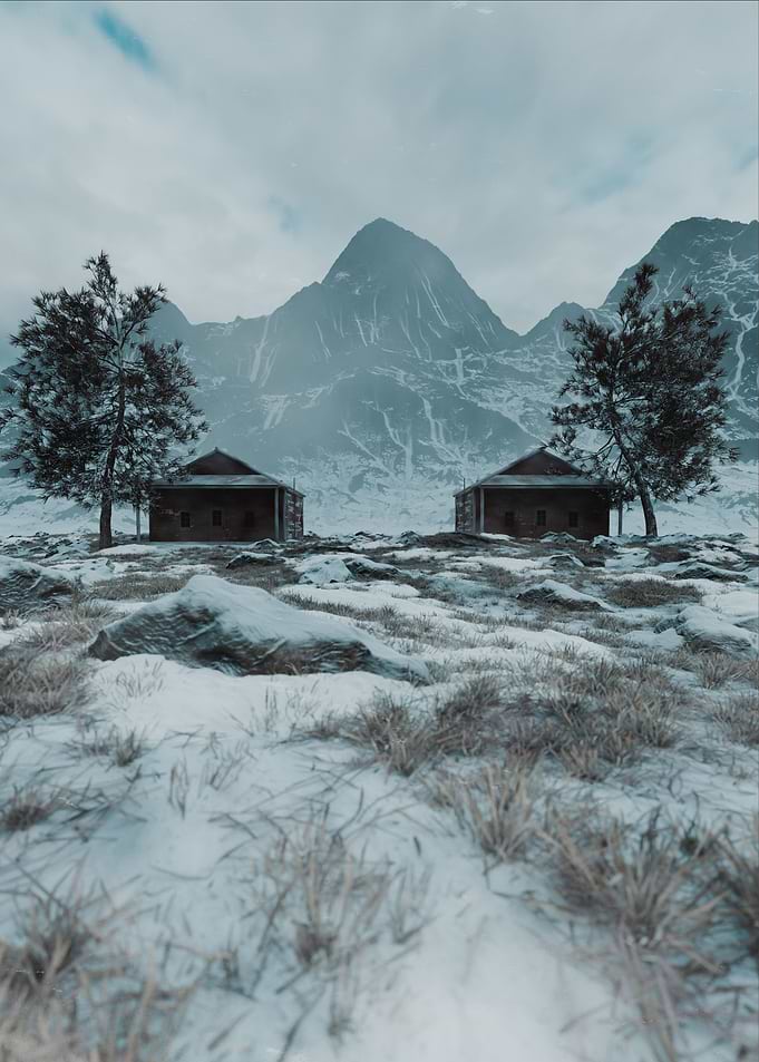 Snowy Twin 3D Artwork