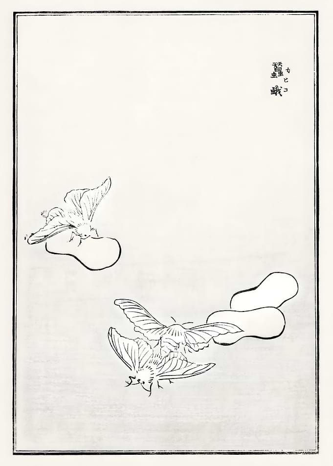 Ukiyo e