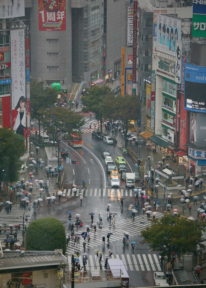 Shibuya Crossing Tokyo