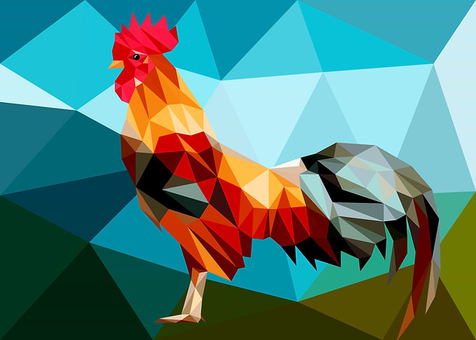 Rooster