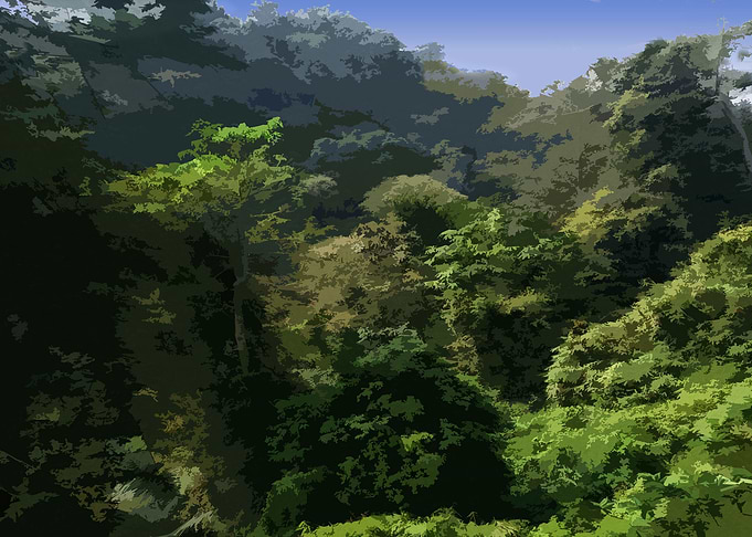 Forest in Colors