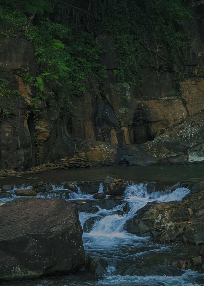 Nature