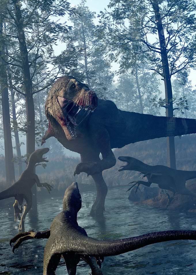 Trex Tyrannosaurus Rex