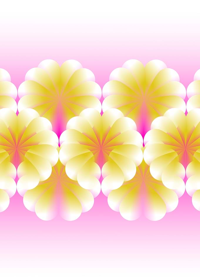 Yellow pink spring flowers