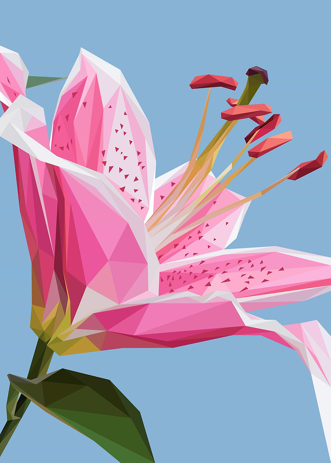 Lilly Oriental Lowpoly