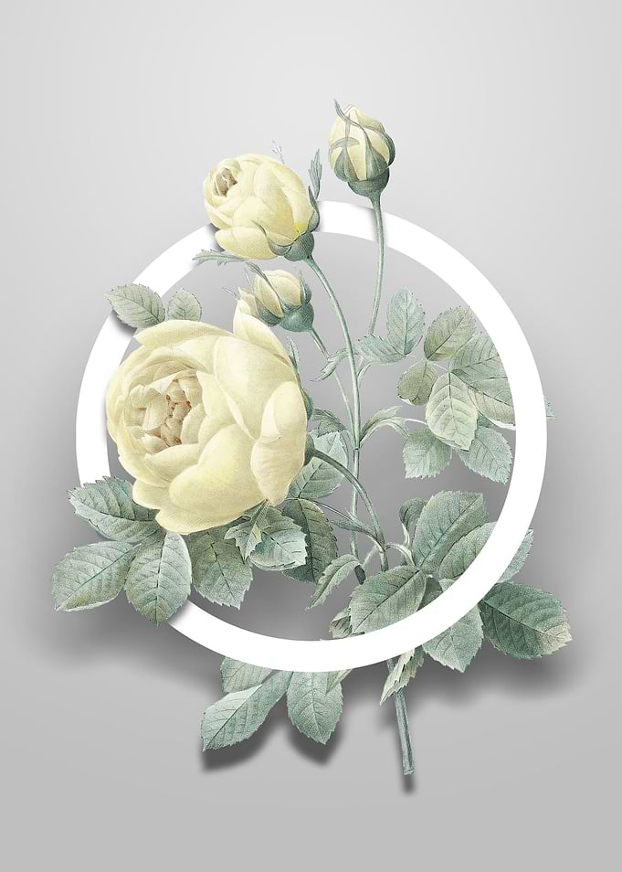 Vintage Yellow Rose Flower