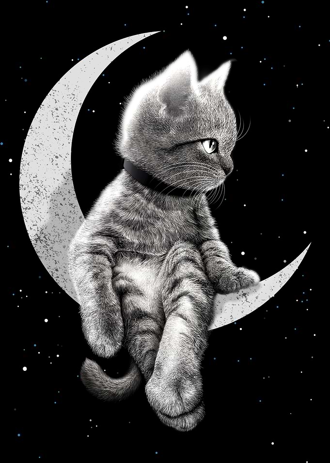 2023 DREAMER
