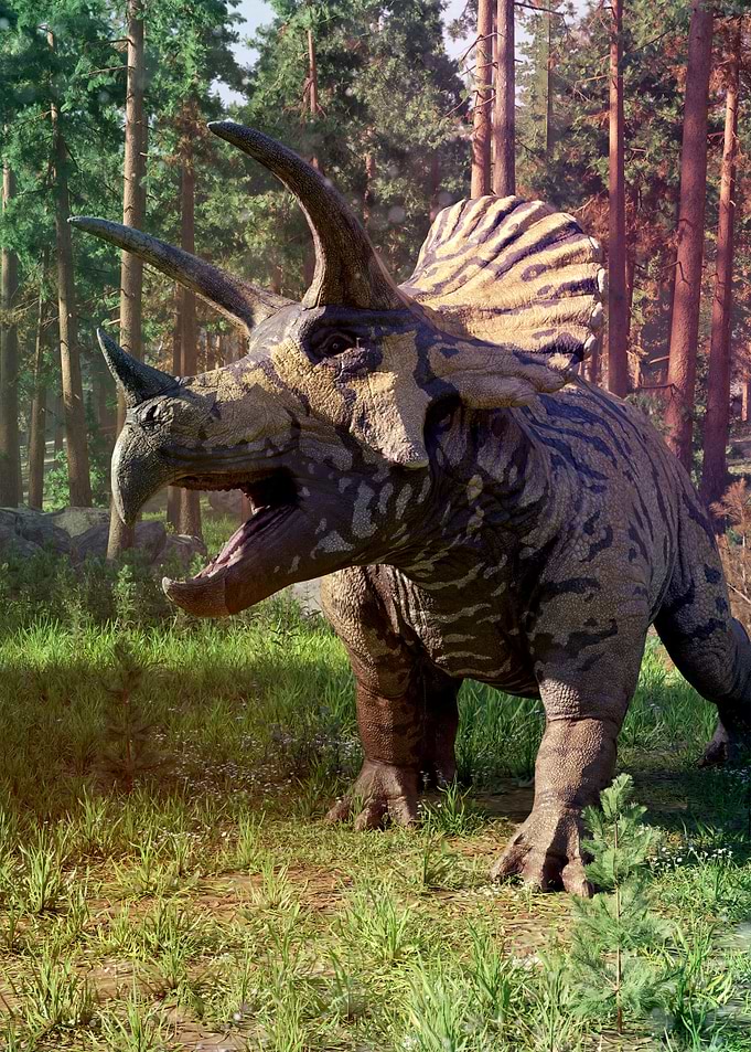 Triceratops dinosaur