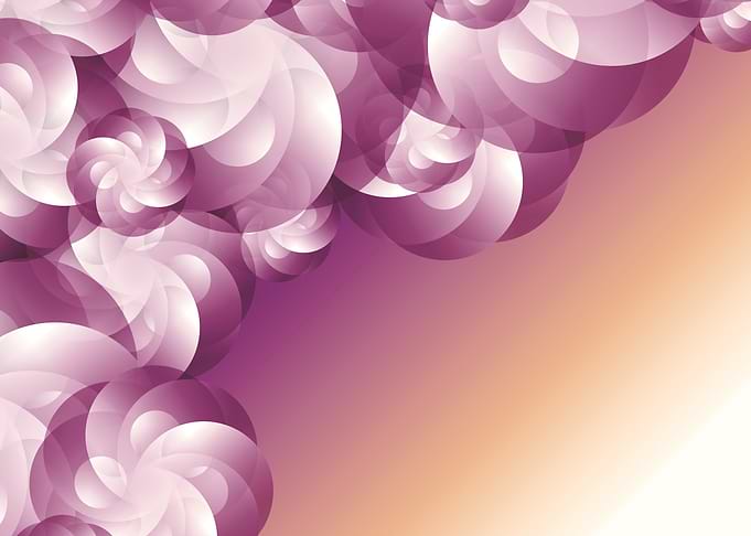 Purple roses flow