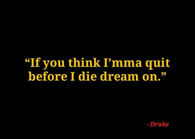 Drake quotes