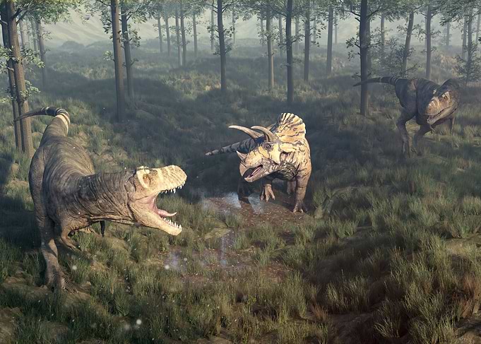 Trex Tyrannosaurus Rex