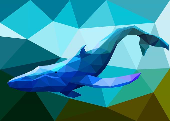 Whale