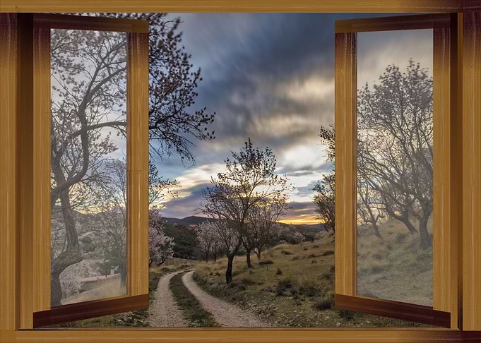Open window road field