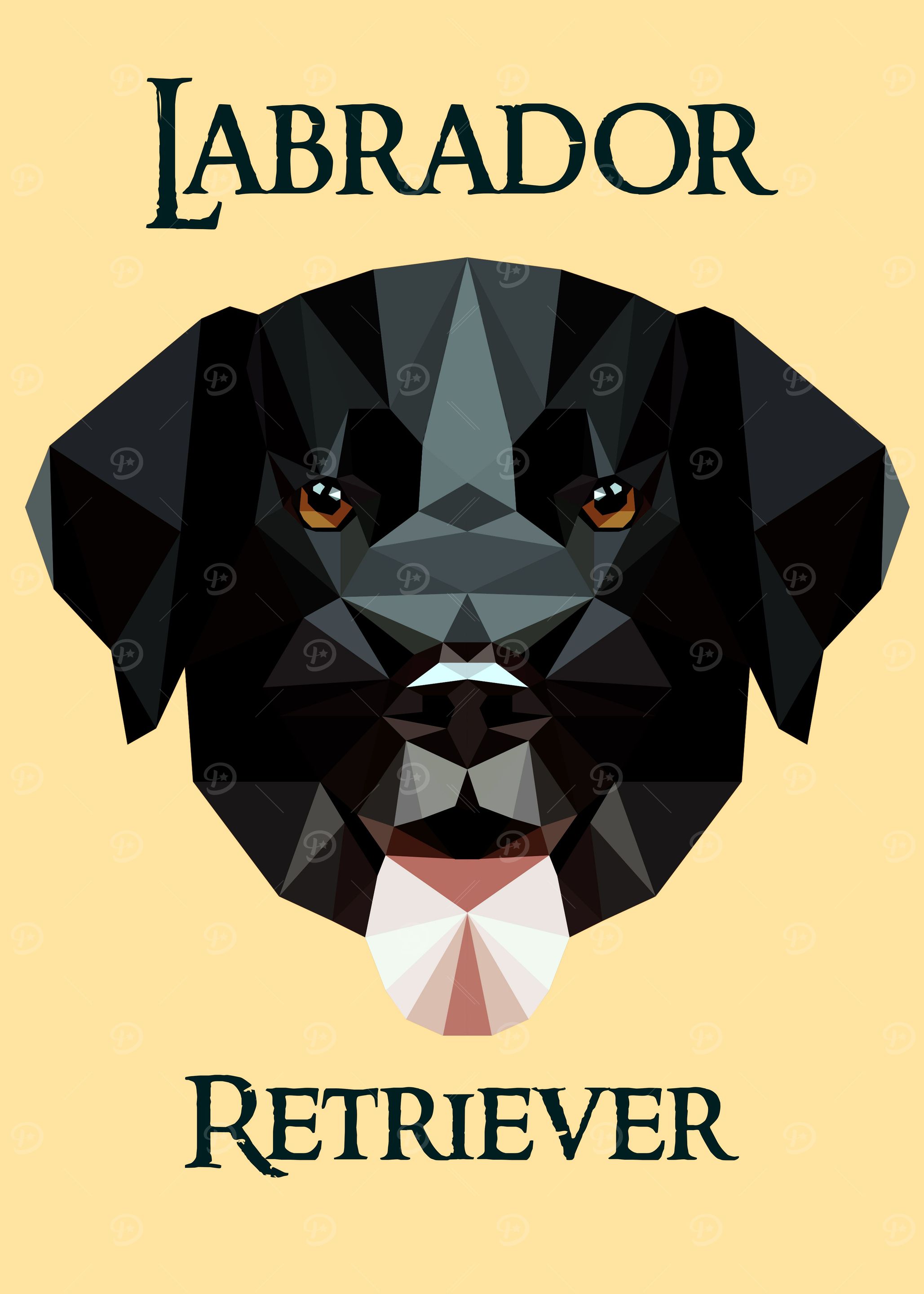 Labrador