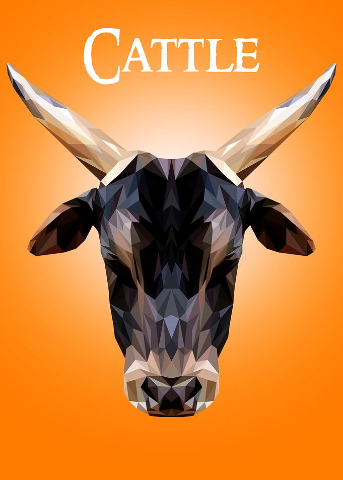 Cattle