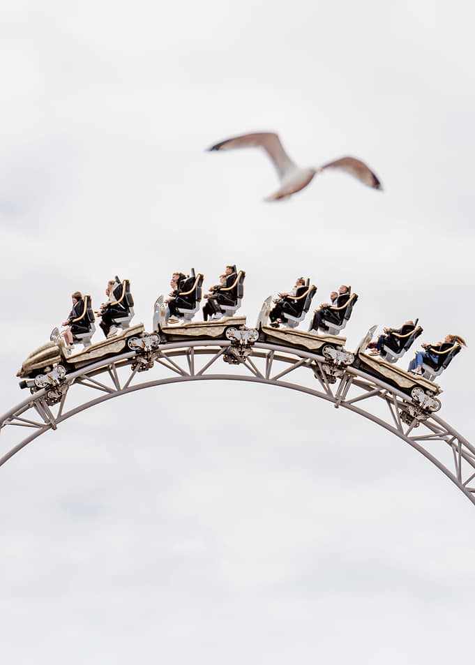 Icon Rollercoaster
