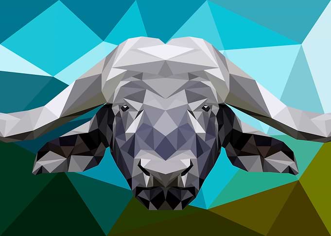 Buffalo