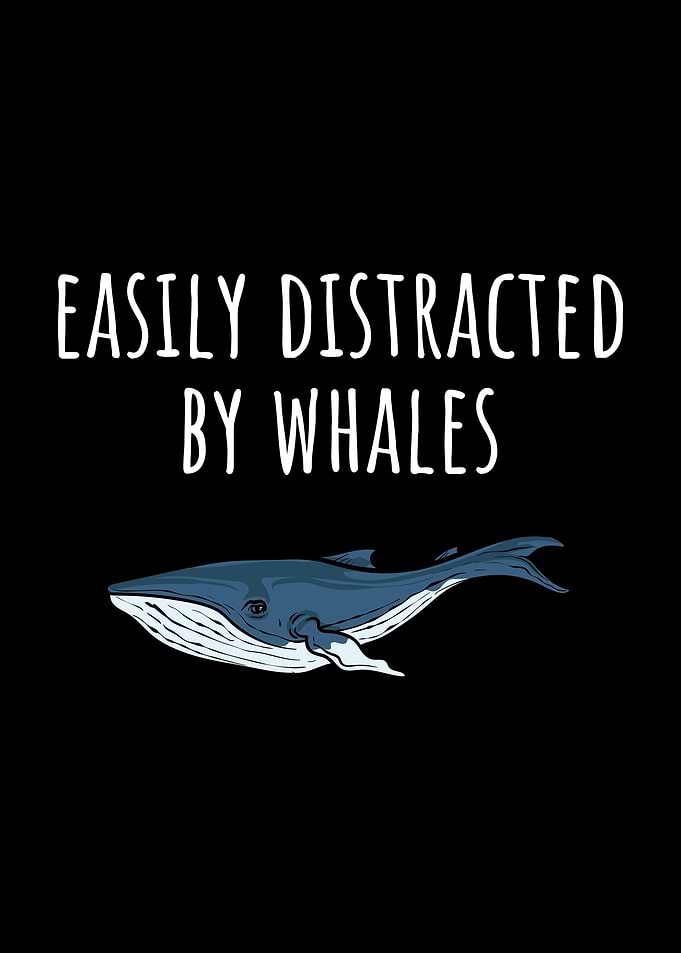 Easily Distracted by