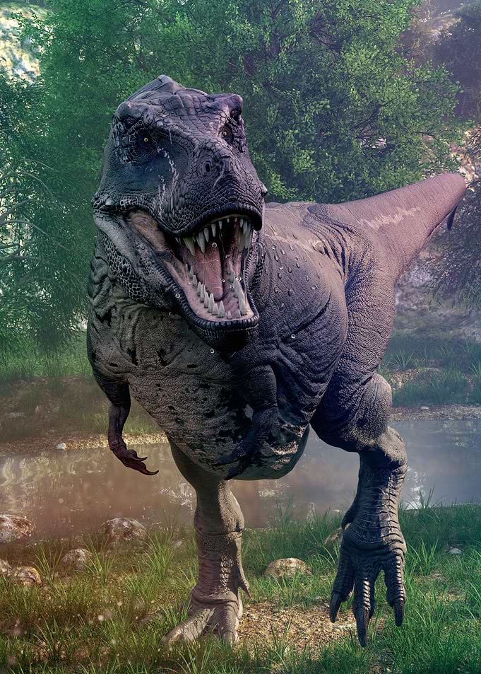 Trex Tyrannosaurus Rex