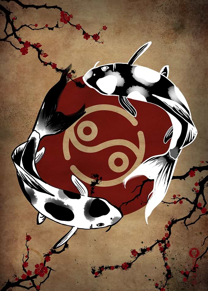 Koi Fish Yin Yang