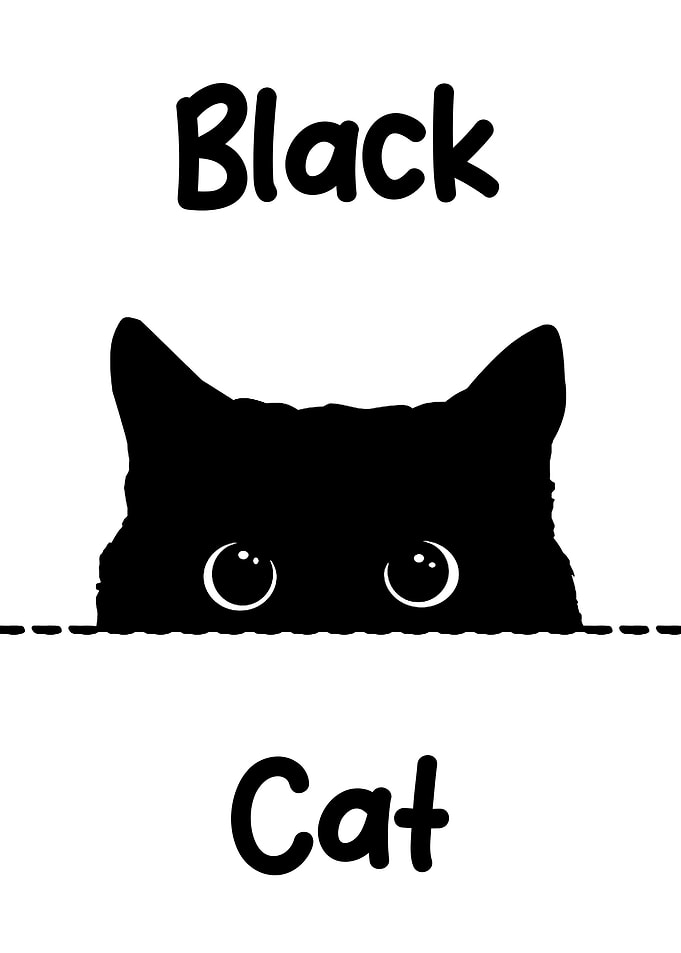 black cat