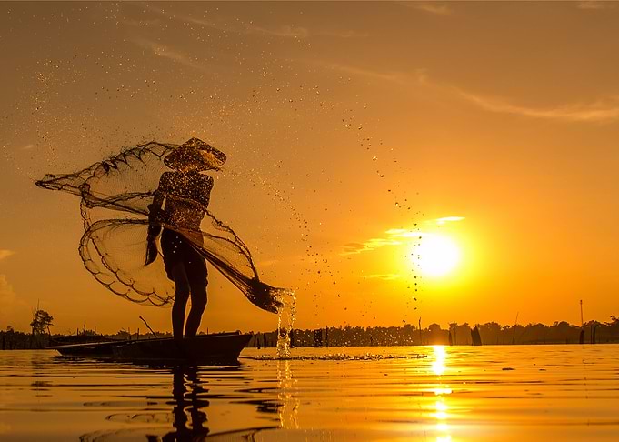 Fisherman web