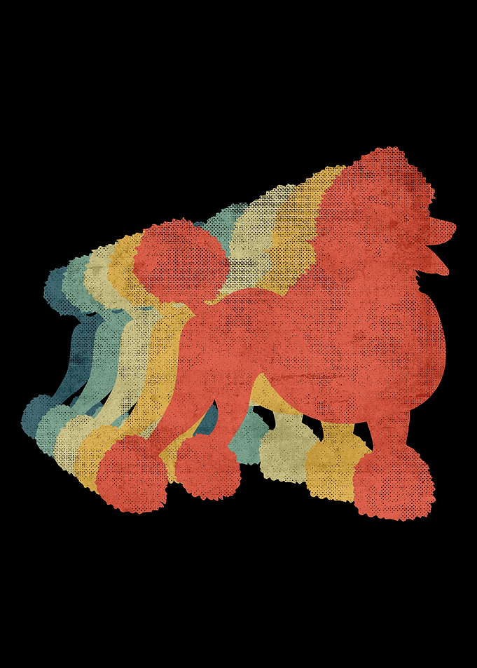 Poodle Retro Vintage