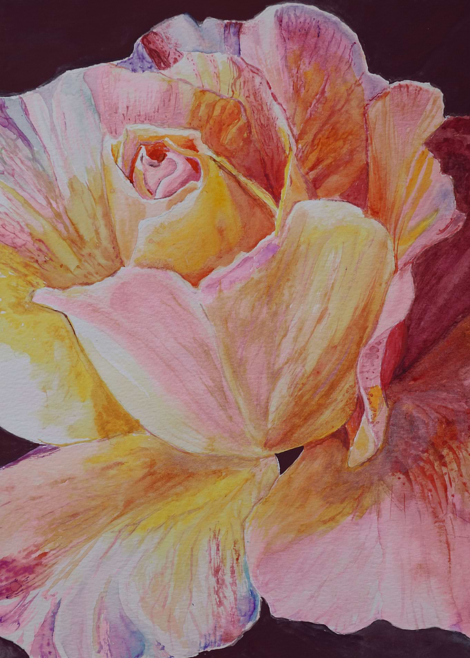 Autumn Rose