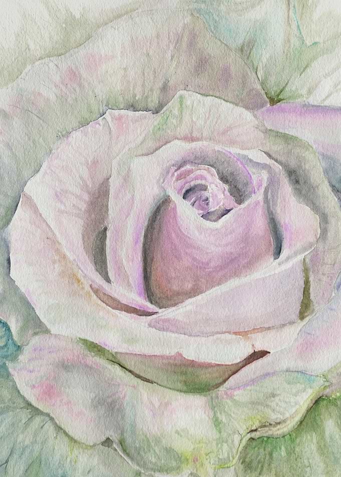Alpha Rose