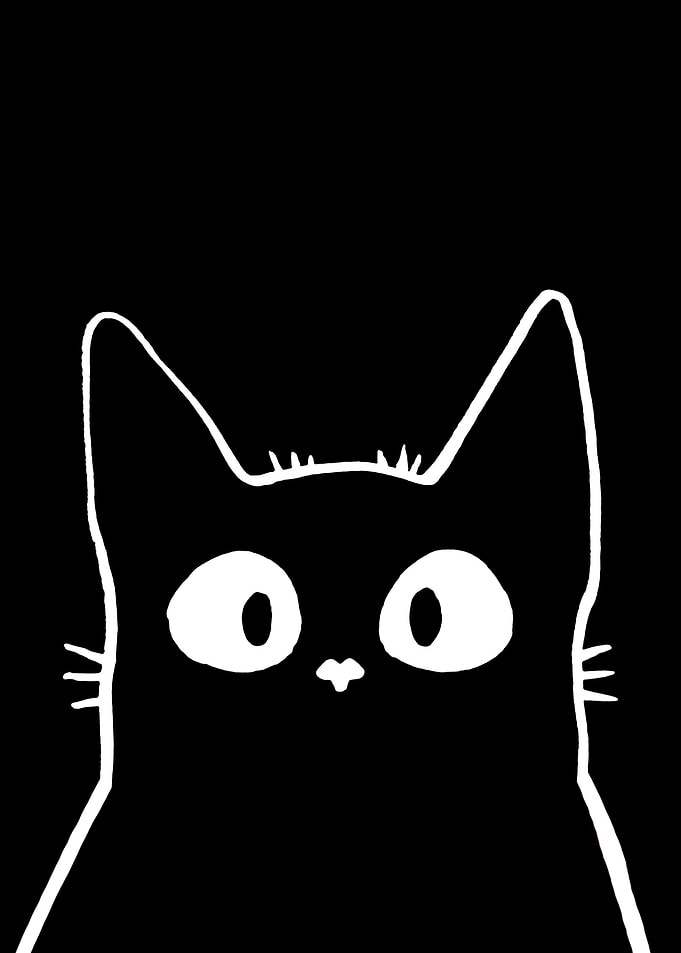 black cat