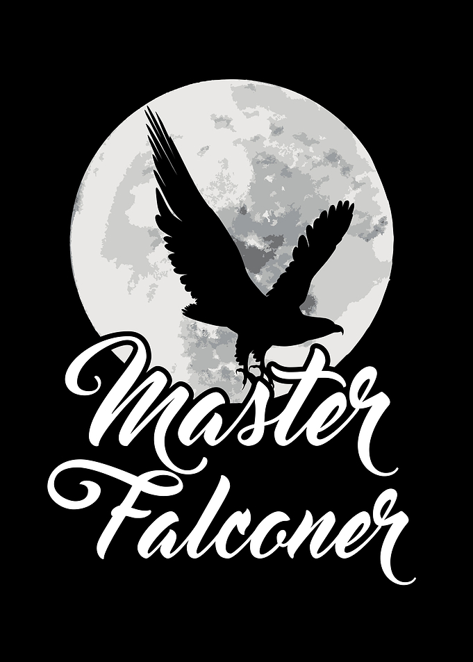 Falconry Bird Ornithology