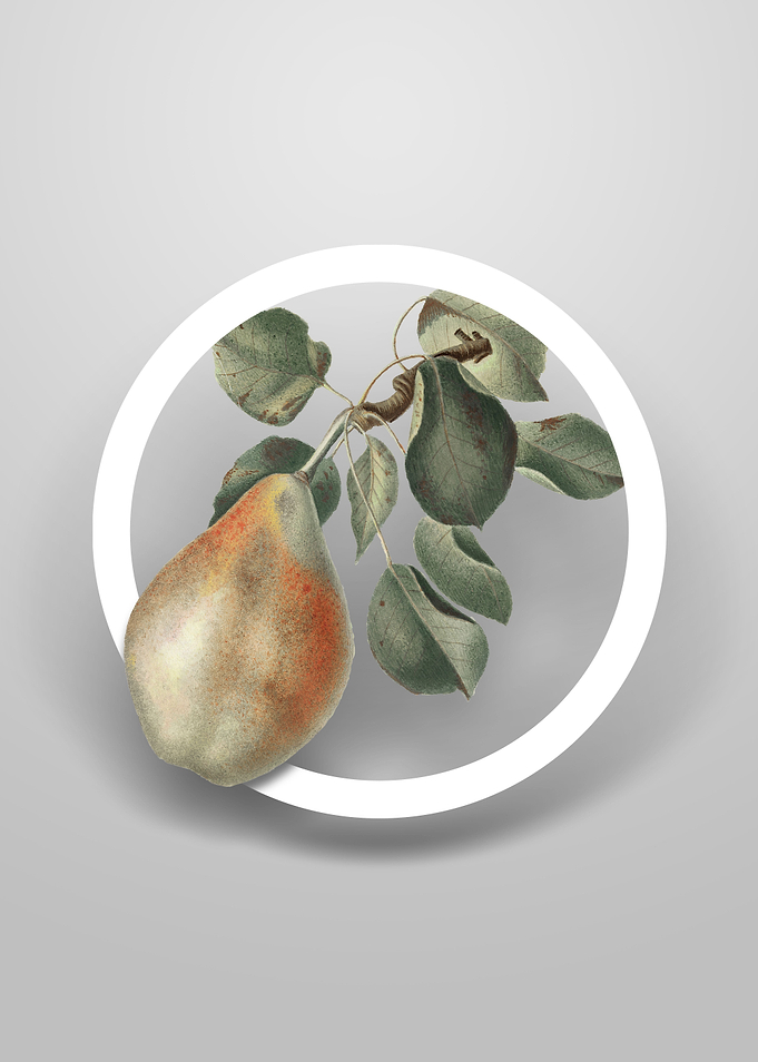 Vintage Pear Branch Flower