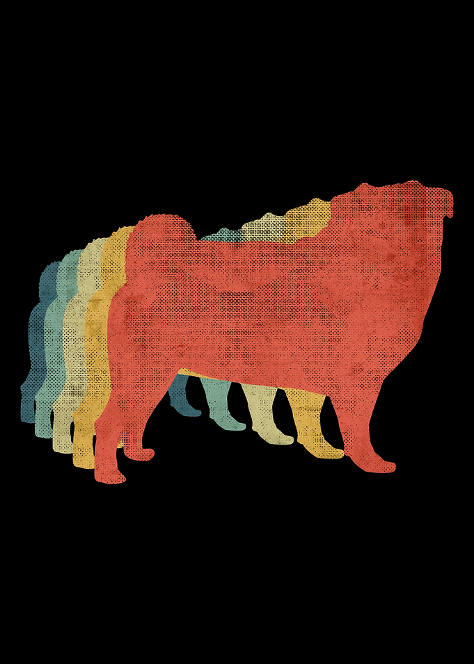 Pug Retro Vintage Color