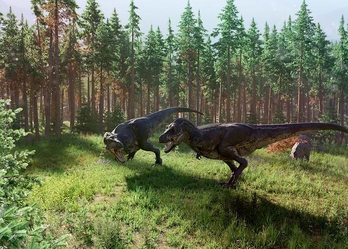 Trex Tyrannosaurus Rex